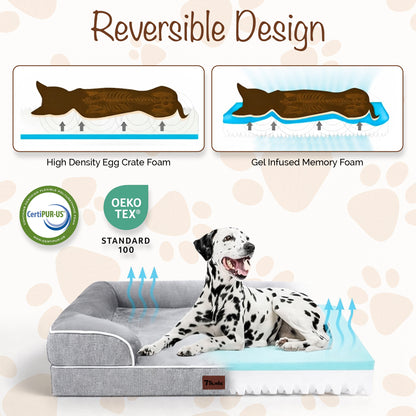 Orthopedic Dog Bed