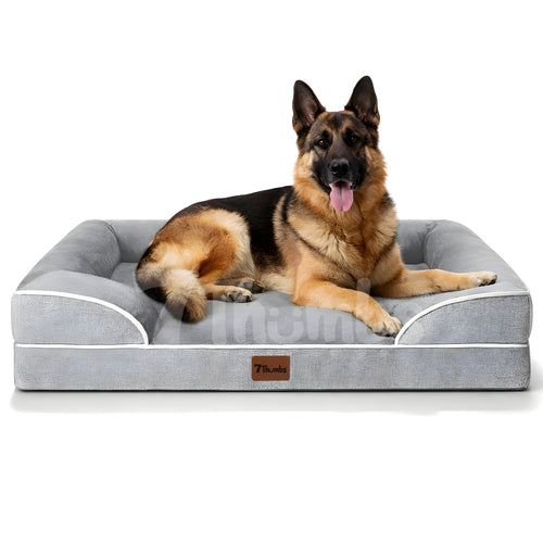 Orthopedic Dog Bed