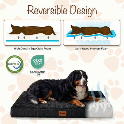 Orthopedic Egg Crate Dog Bed