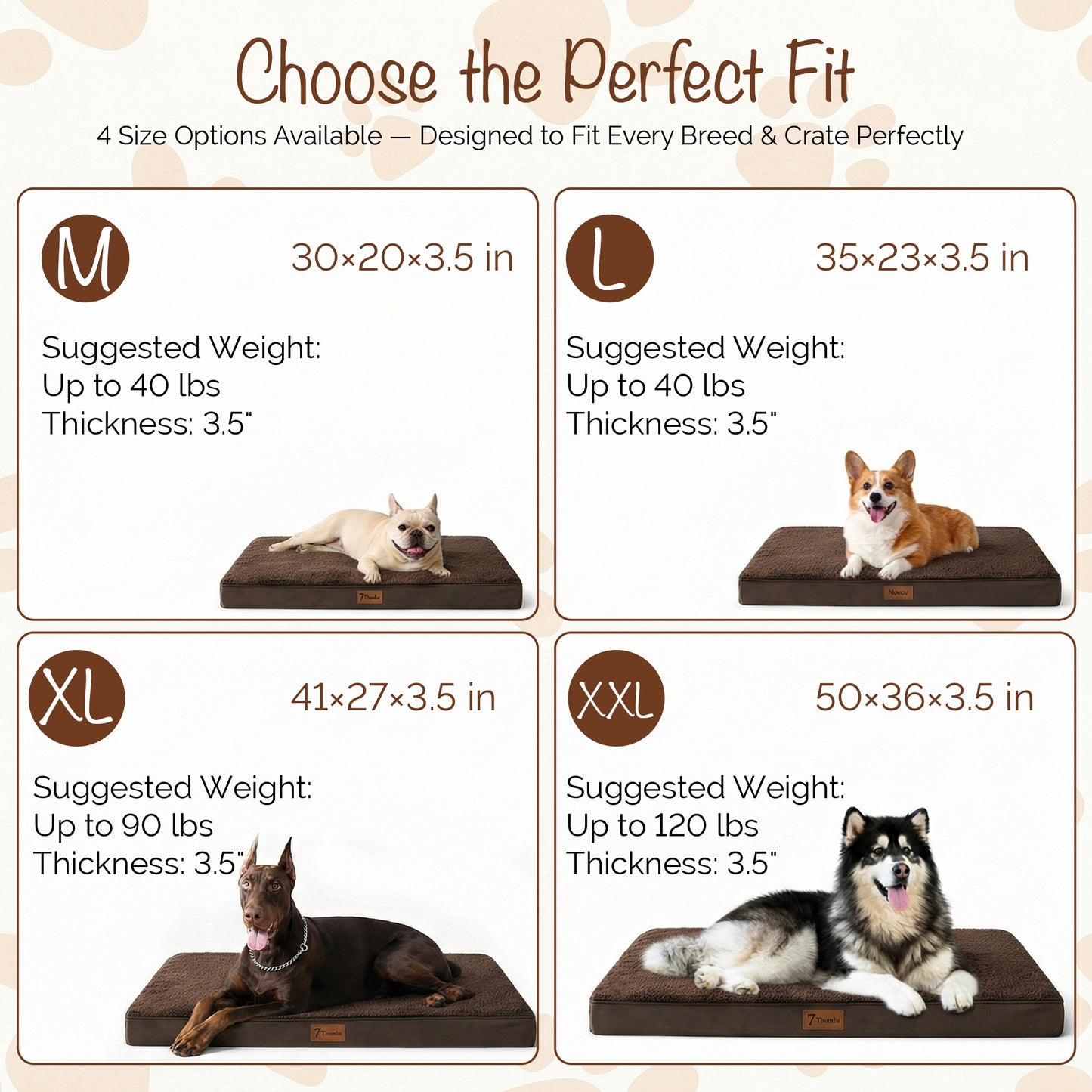 Orthopedic Egg Crate Dog Bed