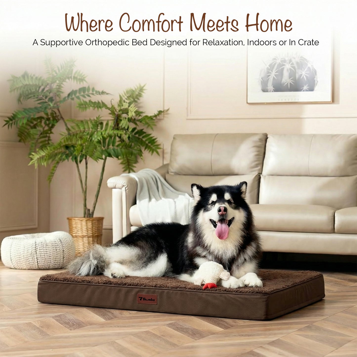 Orthopedic Egg Crate Dog Bed