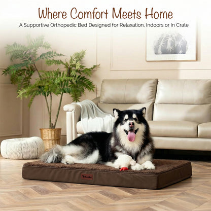 Orthopedic Egg Crate Dog Bed