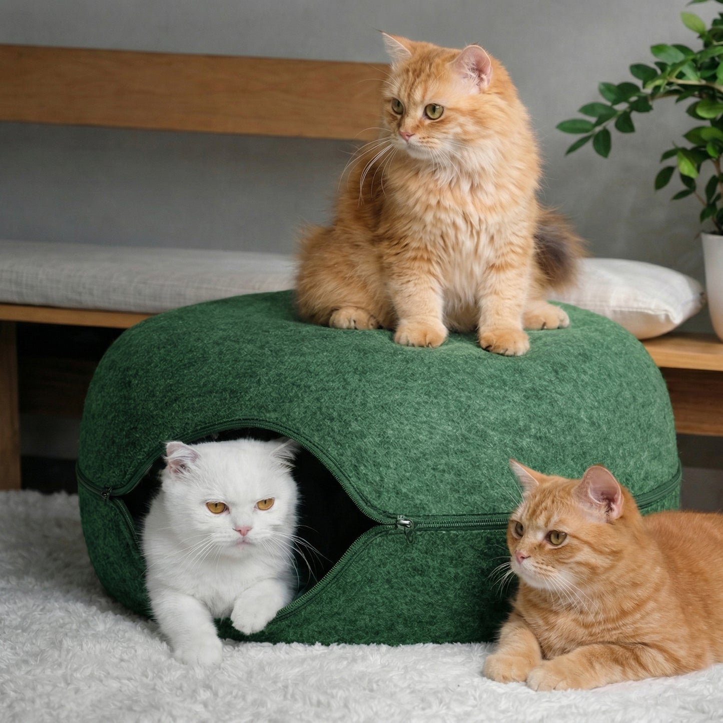 Peekaboo Cat Cave