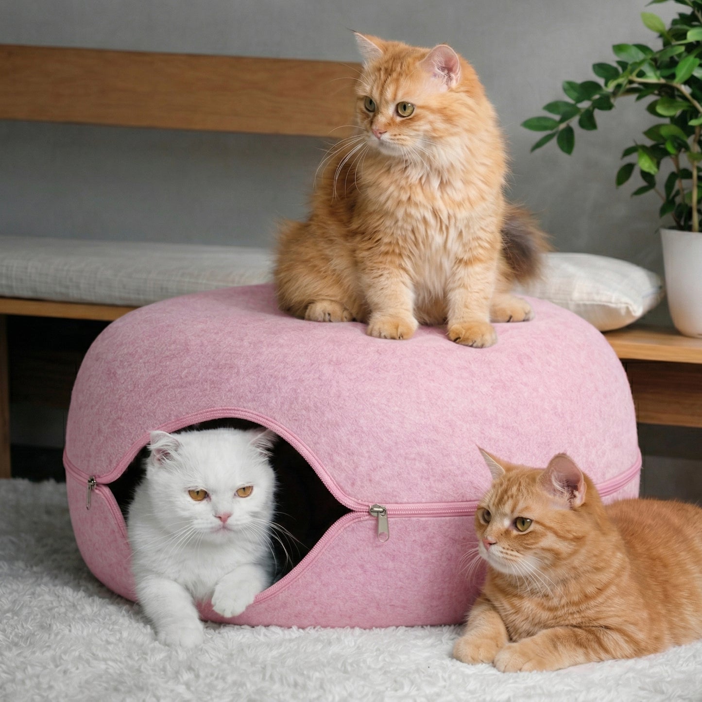 Peekaboo Cat Cave