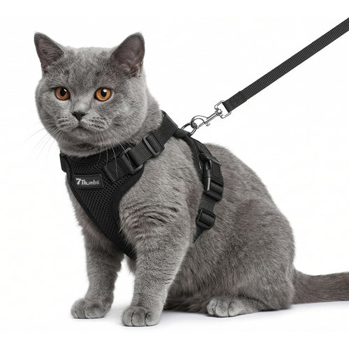 Escape-Proof Cat Harness Set