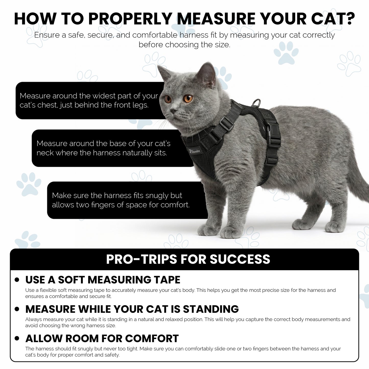 Escape-Proof Cat Harness Set