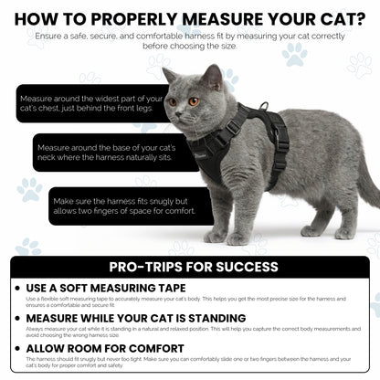 Escape-Proof Cat Harness Set
