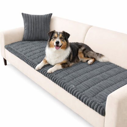Couch Covers for Dogs Washable