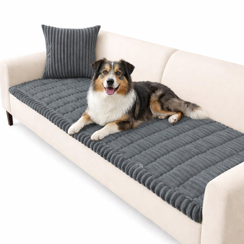 Couch Covers for Dogs Washable