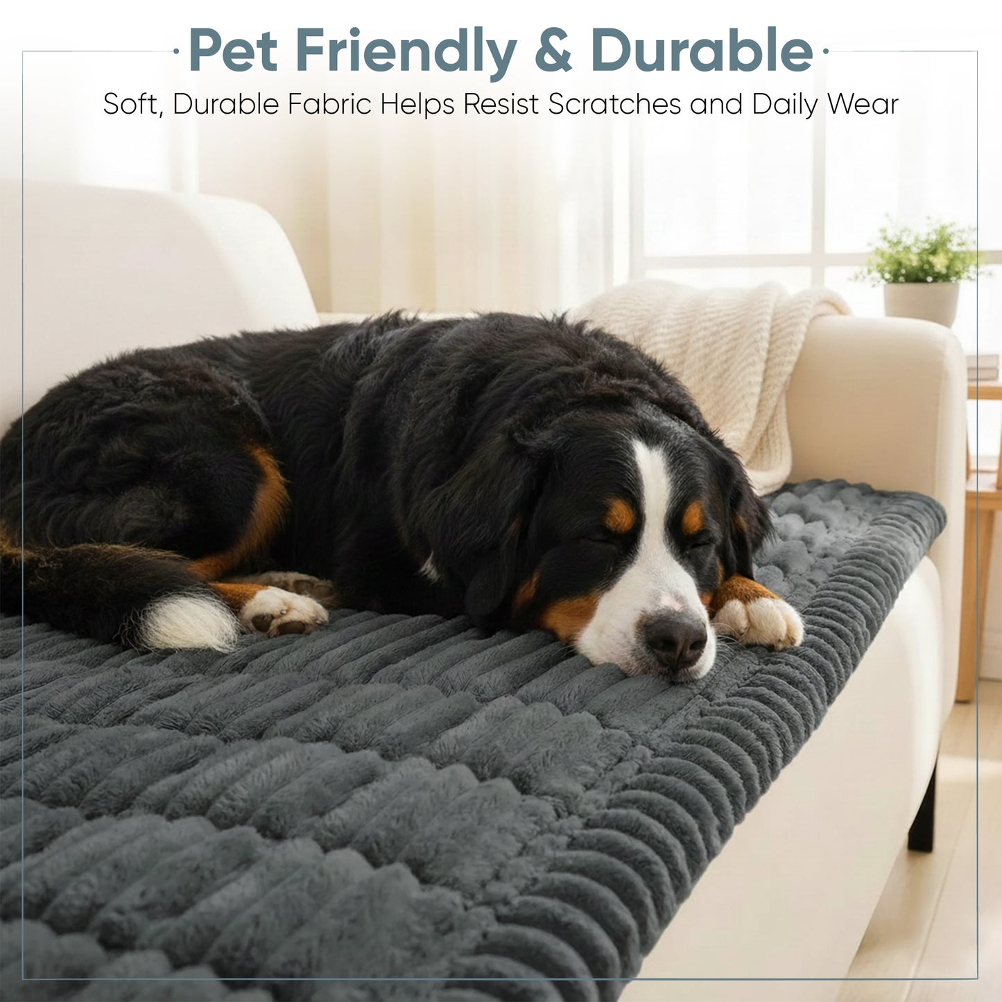 Couch Covers for Dogs Washable