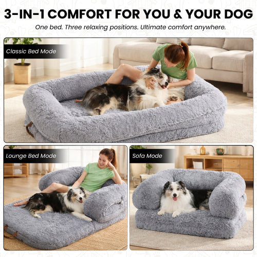 3-in-1 Folding Human Dog Bed with Orthopedic Foam - alternate view