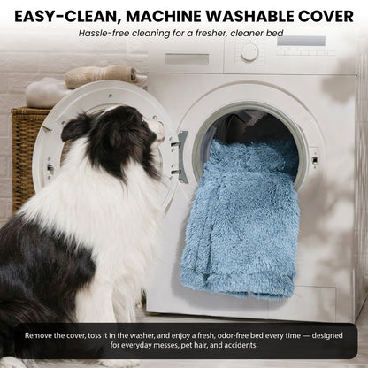 3-in-1 Folding Human Dog Bed with Orthopedic Foam