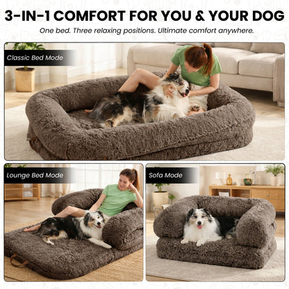 3-in-1 Folding Human Dog Bed with Orthopedic Foam