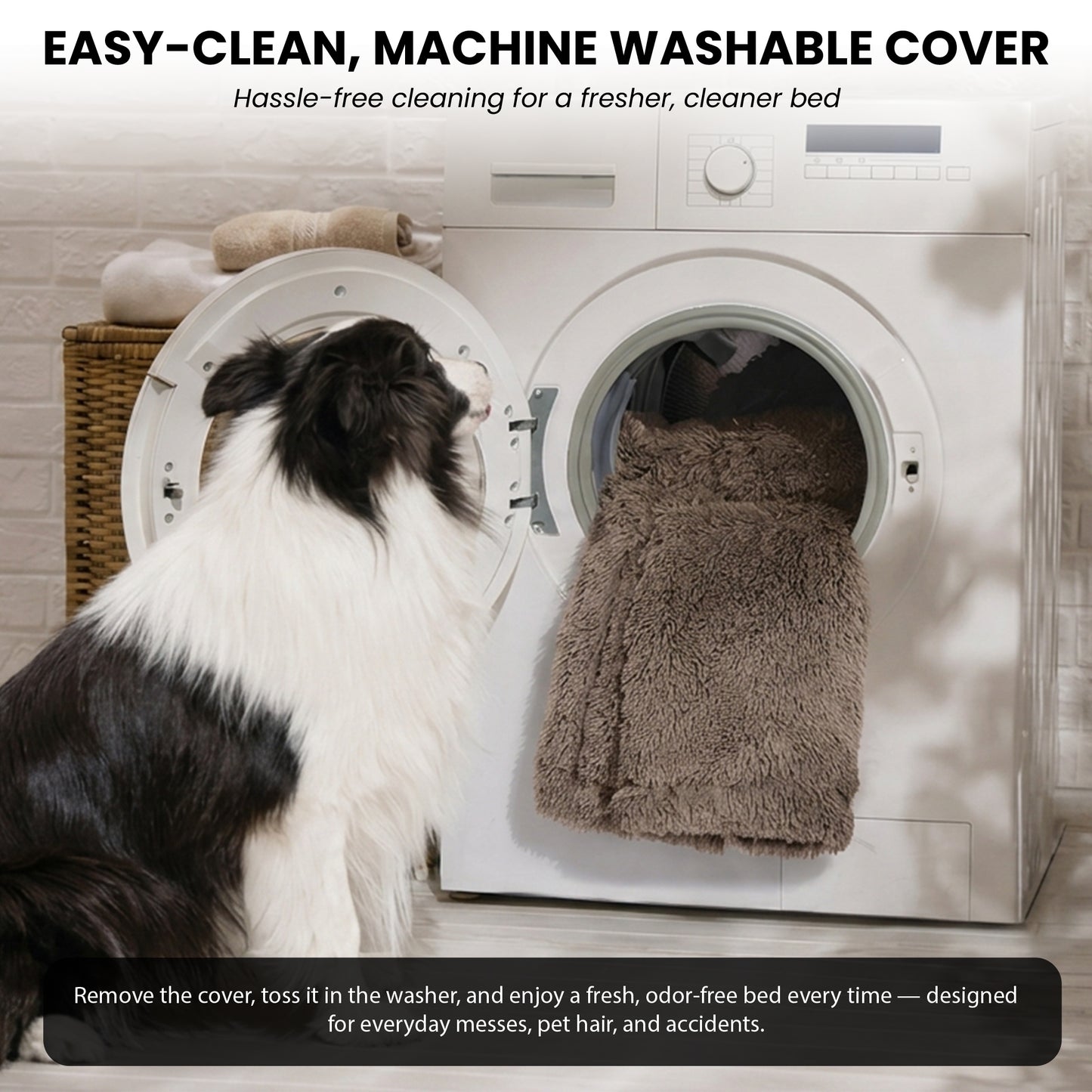 3-in-1 Folding Human Dog Bed with Orthopedic Foam