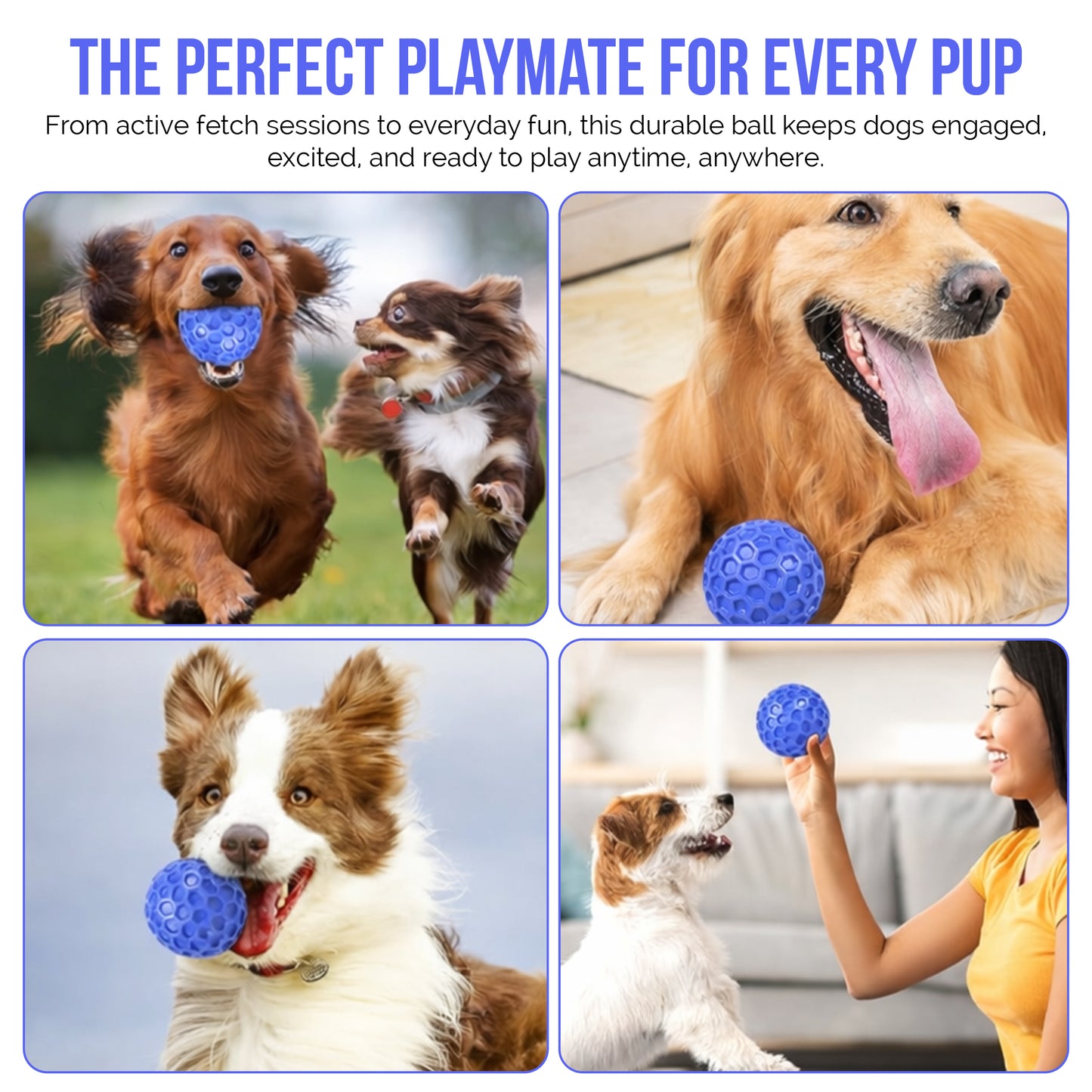 Indestructible Squeaky Dog Ball