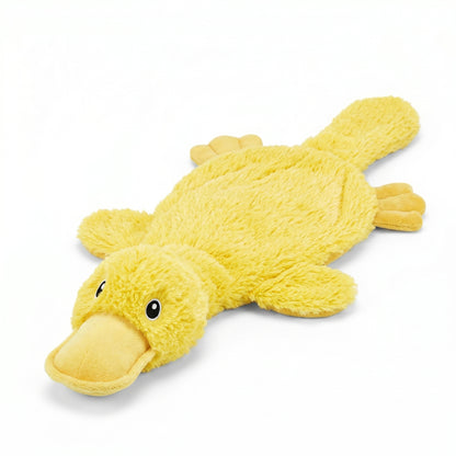 Interactive Squeaky Dog Chew