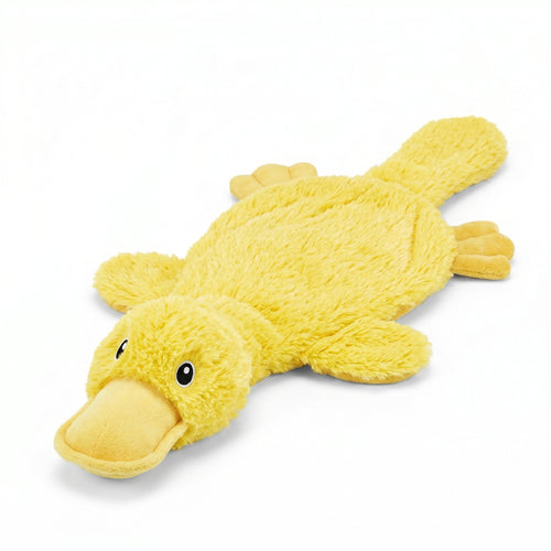Interactive Squeaky Dog Chew