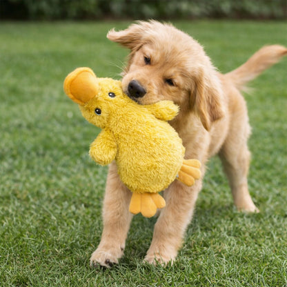 Interactive Squeaky Dog Chew