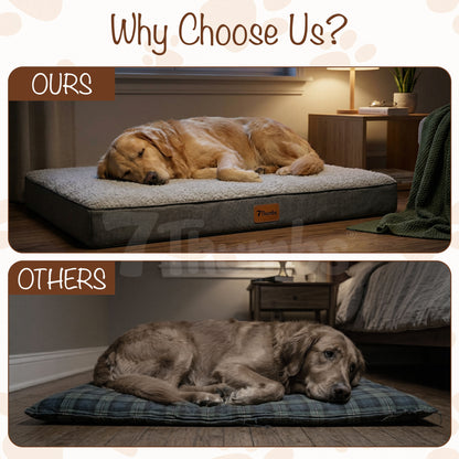 Orthopedic Egg Crate Dog Bed