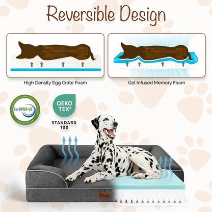 Orthopedic Dog Bed