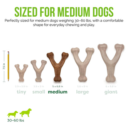 Durable Dog Chew Toy for Aggressive Chewers