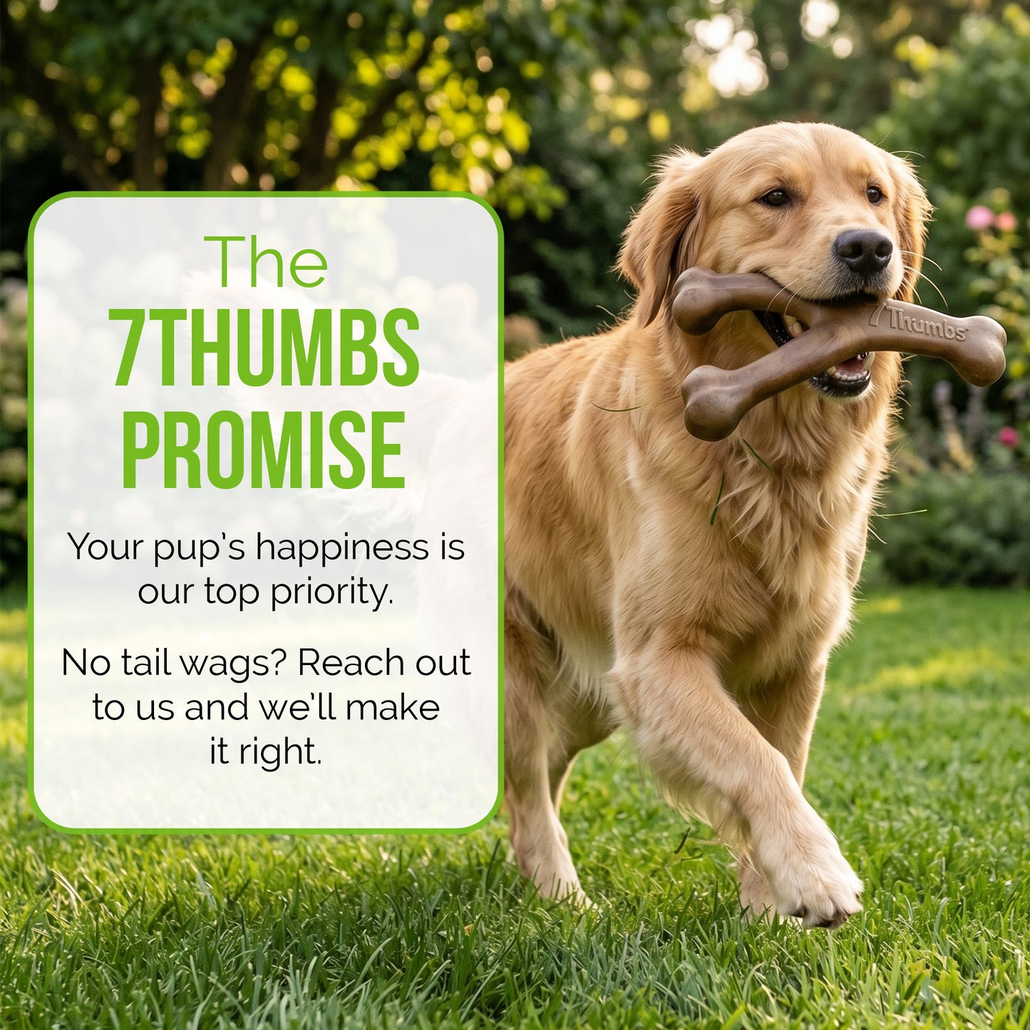Durable Dog Chew Toy for Aggressive Chewers