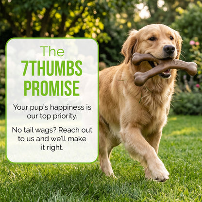 Durable Dog Chew Toy for Aggressive Chewers